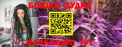 дживик Дубна